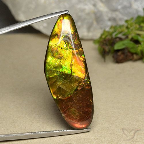 22.66ct Натуральный Многоцветный Аммолит, причудливая, Непрозрачный