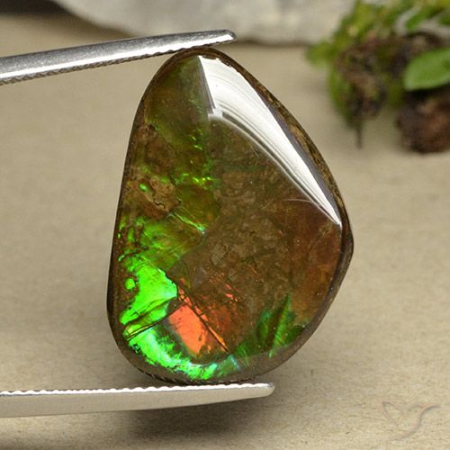 14.98ct Натуральный Многоцветный Аммолит, причудливая, Непрозрачный