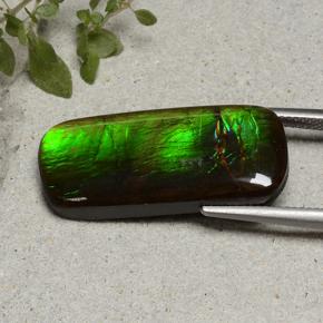 18.74 карата, натуральный Многоцветный Аммолит, Подушка Крой, Непрозрачный