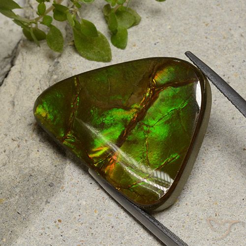 22.87ct Натуральный Многоцветный Аммолит, причудливая, Непрозрачный