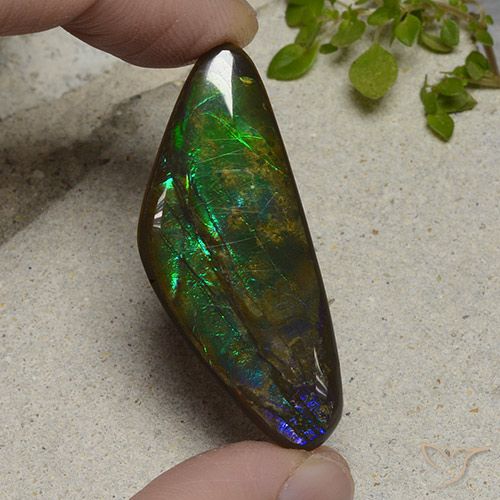 22.28ct Натуральный Многоцветный Аммолит, причудливая, Непрозрачный