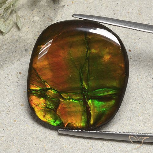 21.57ct Натуральный Многоцветный Аммолит, Подушка, Непрозрачный