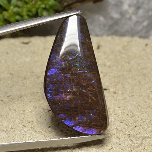 15.94ct Натуральный Многоцветный Аммолит, причудливая, Непрозрачный