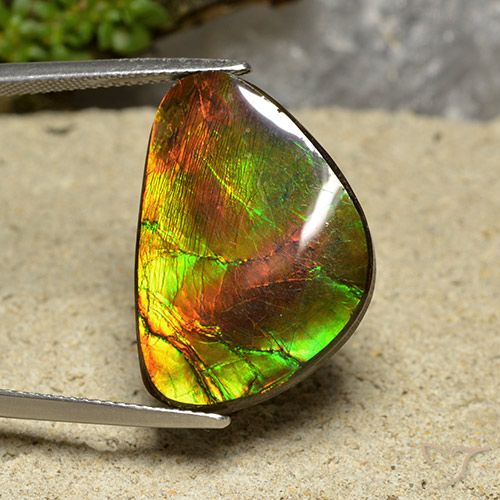 18.57ct Натуральный Многоцветный Аммолит, причудливая, Непрозрачный