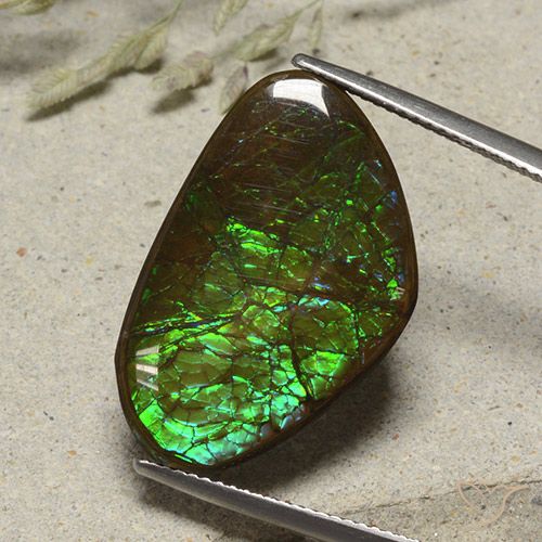 17.38ct Натуральный Многоцветный Аммолит, причудливая, Непрозрачный