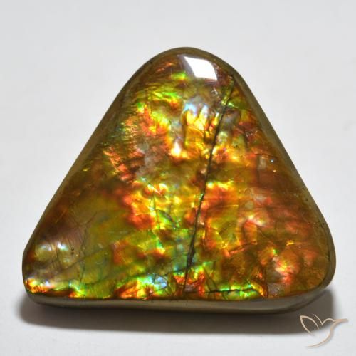 16.58ct Натуральный Многоцветный Аммолит, Триллион, Непрозрачный