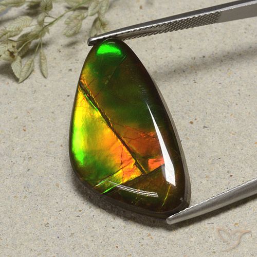 17.24ct Натуральный Многоцветный Аммолит, причудливая, Непрозрачный