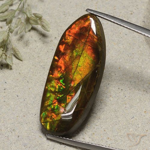 15.74ct Натуральный Многоцветный Аммолит, причудливая, Непрозрачный