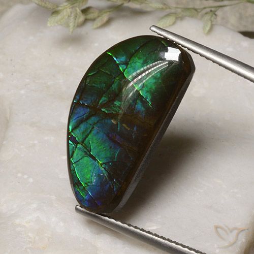 13.17ct Натуральный Многоцветный Аммолит, причудливая, Непрозрачный