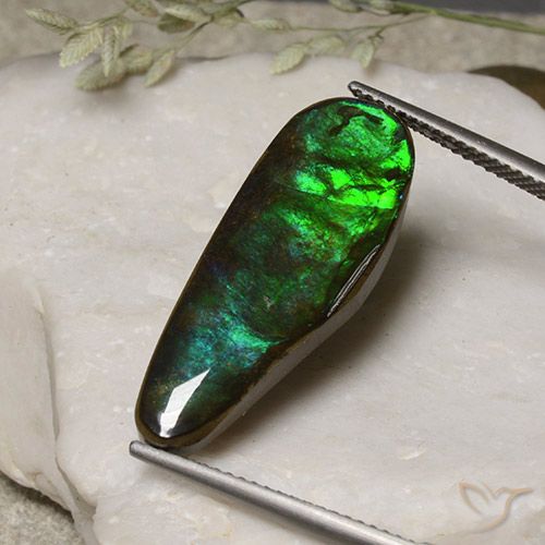 11.06ct Натуральный Многоцветный Аммолит, причудливая, Непрозрачный