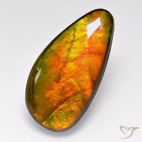 10.05ct Натуральный Многоцветный Аммолит, причудливая, Непрозрачный