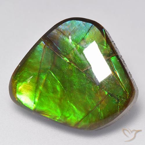 9.81ct Натуральный Многоцветный Аммолит, причудливая, Непрозрачный