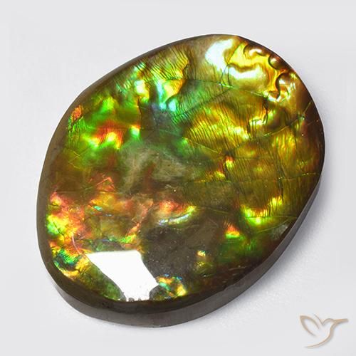 14.70ct Натуральный Многоцветный Аммолит, причудливая, Непрозрачный