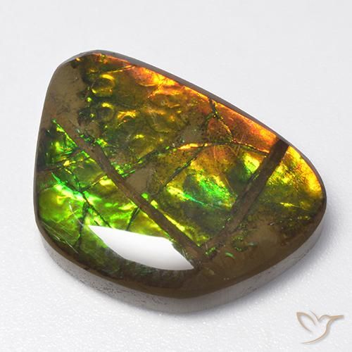 13.40ct Натуральный Многоцветный Аммолит, причудливая, Непрозрачный
