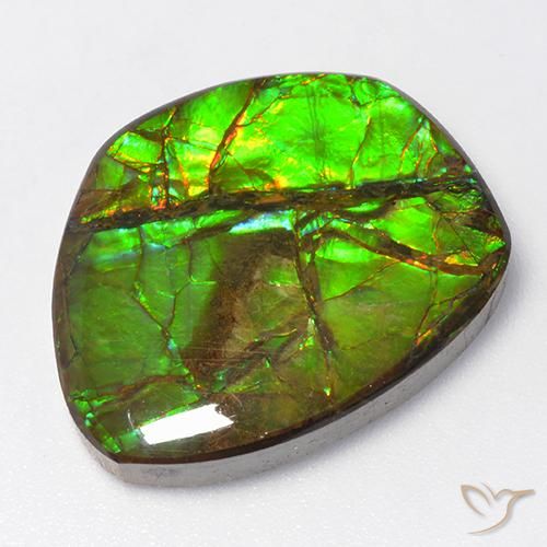 15.50ct Натуральный Многоцветный Аммолит, причудливая, Непрозрачный