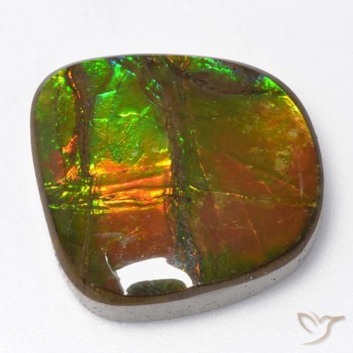 13.06ct Натуральный Многоцветный Аммолит, причудливая, Непрозрачный