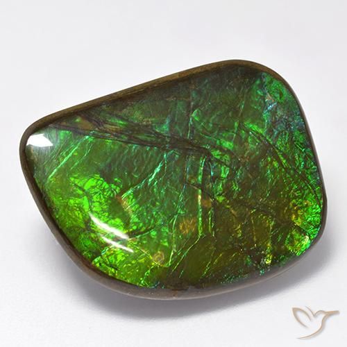 19.75ct Натуральный Многоцветный Аммолит, причудливая, Непрозрачный