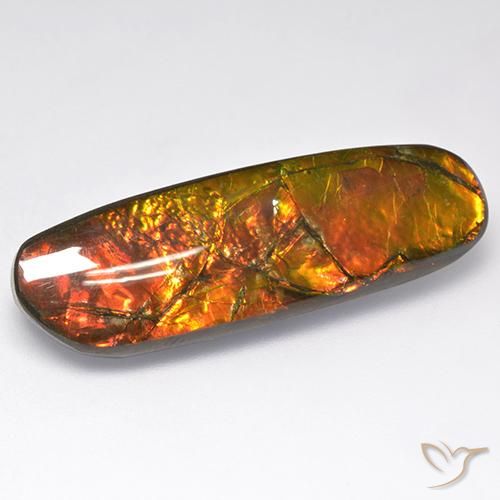 18.52ct Натуральный Многоцветный Аммолит, причудливая, Непрозрачный