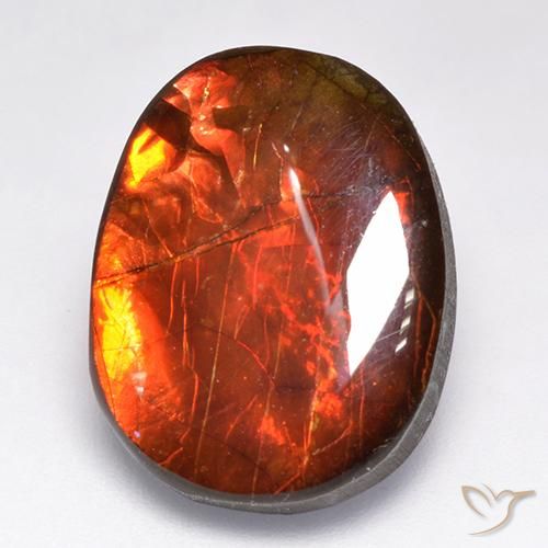 12.19ct Натуральный Многоцветный Аммолит, причудливая, Непрозрачный