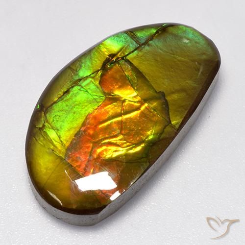 13.86ct Натуральный Многоцветный Аммолит, причудливая, Непрозрачный
