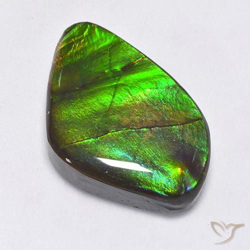 22.30ct Натуральный Многоцветный Аммолит, причудливая, Непрозрачный