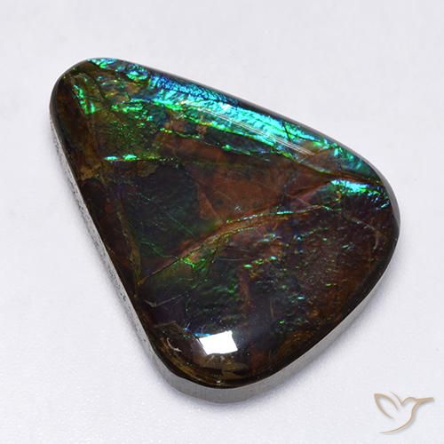 17.25ct Натуральный Многоцветный Аммолит, причудливая, Непрозрачный