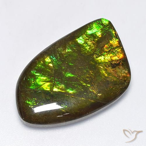 18.89ct Натуральный Многоцветный Аммолит, причудливая, Непрозрачный