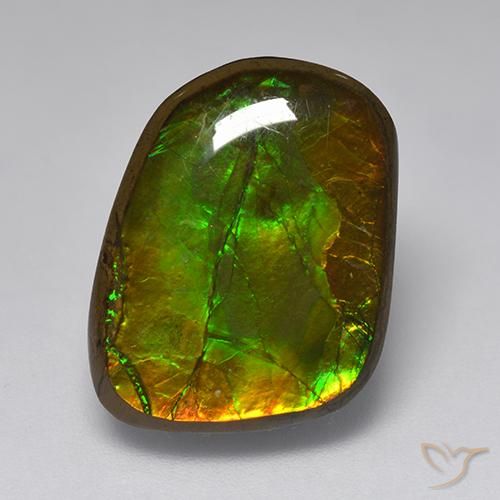 10.83ct Натуральный Многоцветный Аммолит, причудливая, Непрозрачный