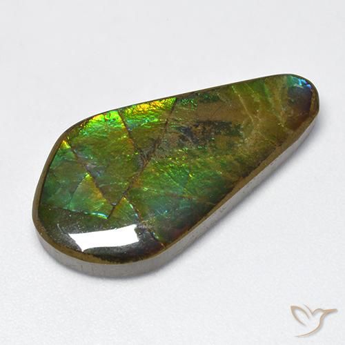 15.47ct Натуральный Многоцветный Аммолит, причудливая, Непрозрачный