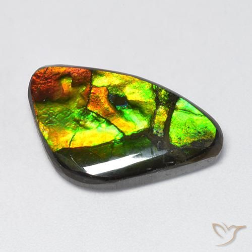 11.50ct Натуральный Многоцветный Аммолит, причудливая, Непрозрачный