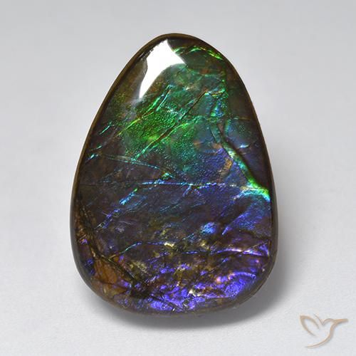 17.96ct Натуральный Многоцветный Аммолит, причудливая, Непрозрачный
