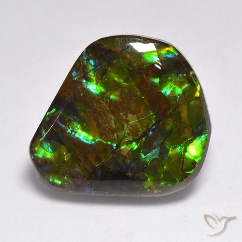 15.50ct Натуральный Многоцветный Аммолит, причудливая, Непрозрачный