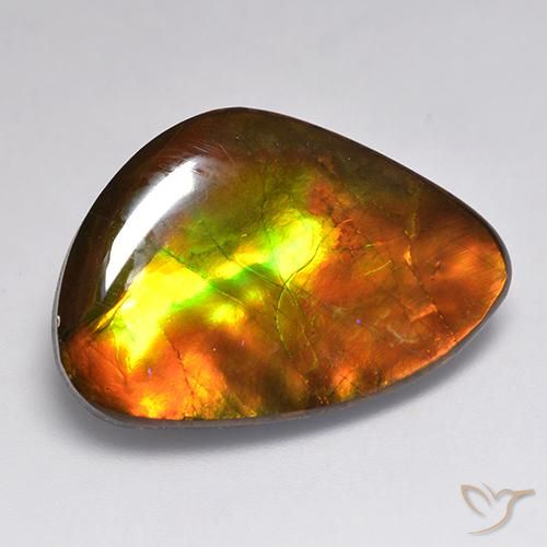 20.30ct Натуральный Многоцветный Аммолит, причудливая, Непрозрачный