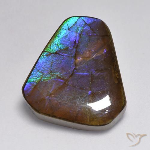 13.95ct Натуральный Многоцветный Аммолит, причудливая, Непрозрачный