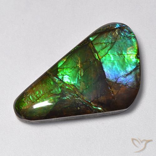 13.85ct Натуральный Многоцветный Аммолит, причудливая, Непрозрачный
