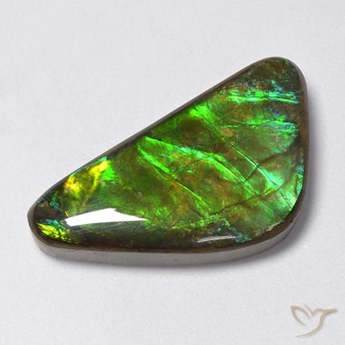 13.28ct Натуральный Многоцветный Аммолит, причудливая, Непрозрачный