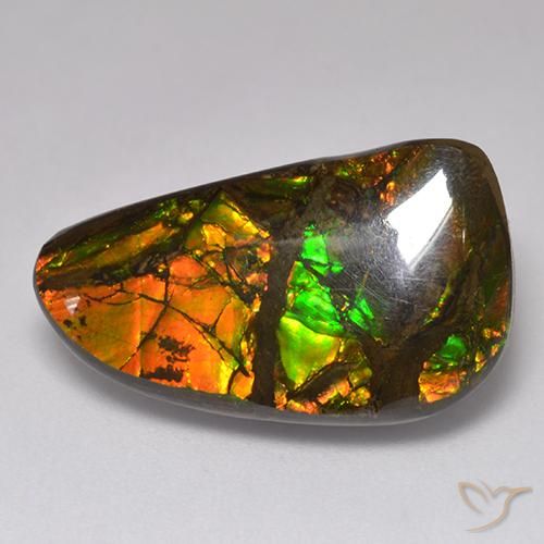 13.48ct Натуральный Многоцветный Аммолит, причудливая, Непрозрачный