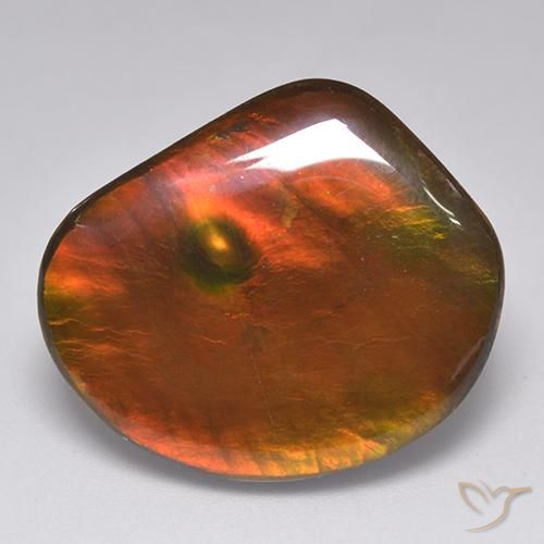 21.29ct Натуральный Многоцветный Аммолит, причудливая, Непрозрачный