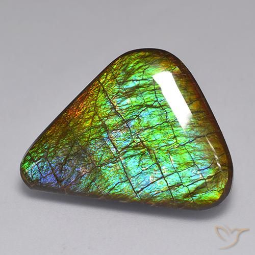 19.82ct Натуральный Многоцветный Аммолит, причудливая, Непрозрачный