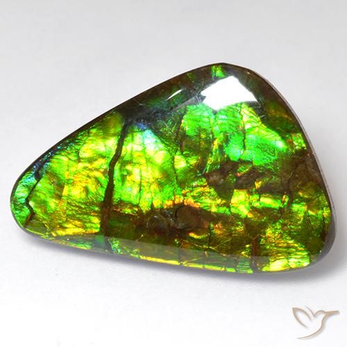 18.51ct Натуральный Многоцветный Аммолит, причудливая, Непрозрачный