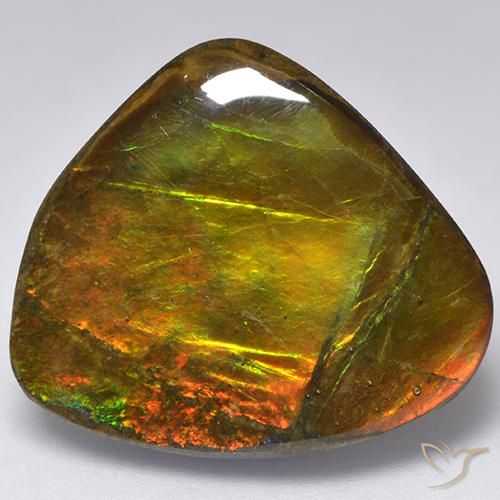 18.32ct Натуральный Многоцветный Аммолит, причудливая, Непрозрачный
