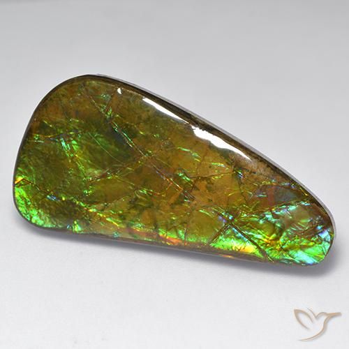 23.60ct Натуральный Многоцветный Аммолит, причудливая, Непрозрачный
