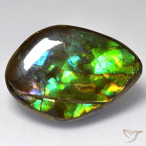 13.64ct Натуральный Многоцветный Аммолит, причудливая, Непрозрачный