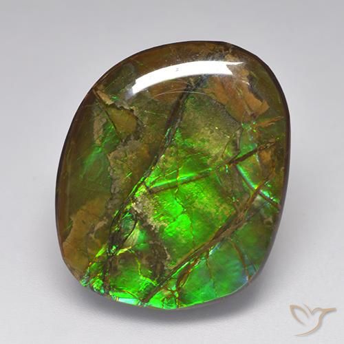 19.23ct Натуральный Многоцветный Аммолит, причудливая, Непрозрачный