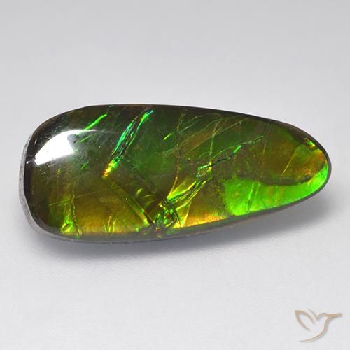 9.58ct Натуральный Многоцветный Аммолит, причудливая, Непрозрачный