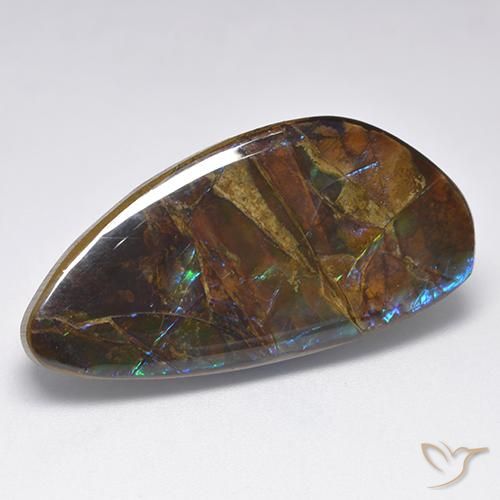 19.90ct Натуральный Многоцветный Аммолит, причудливая, Непрозрачный