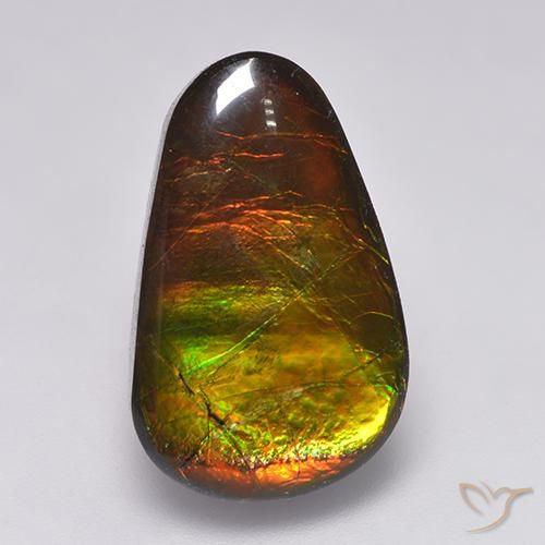 12.85ct Натуральный Многоцветный Аммолит, причудливая, Непрозрачный