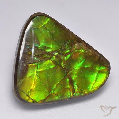 17.90ct Натуральный Многоцветный Аммолит, причудливая, Непрозрачный