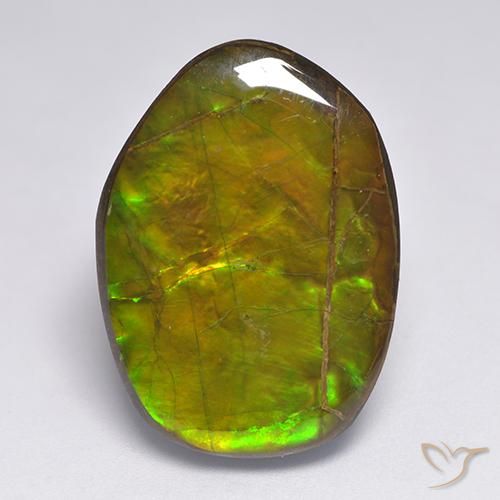 20.63ct Натуральный Многоцветный Аммолит, причудливая, Непрозрачный