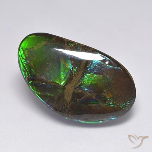 18.50ct Натуральный Многоцветный Аммолит, причудливая, Непрозрачный